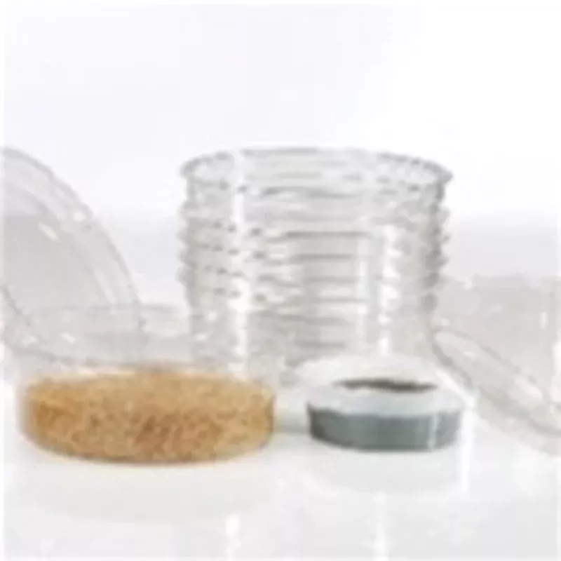 8oz & 12 oz. Biodegradable Lid / 100 Pack